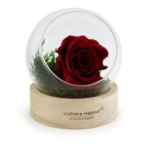 Rose éternelle en terrarium socle bois 3