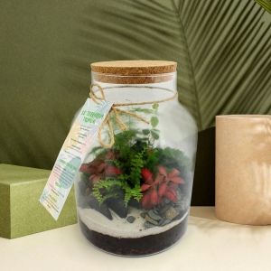 Terrarium - Modèle confort - L
