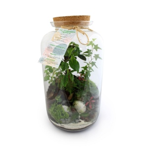 Terrarium - Modèle Luxe