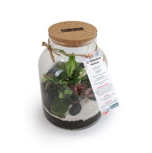 Terrarium - Grand modèle 3