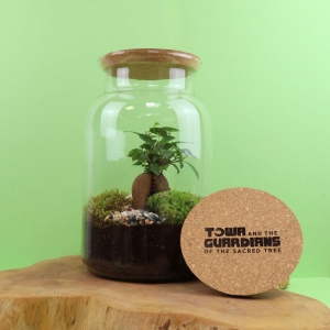 Terrarium - Grand modèle