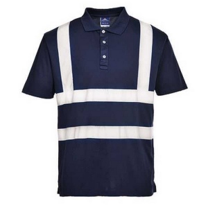 Polo iona 2