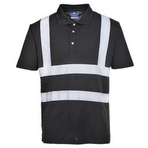 Polo iona