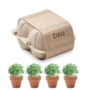 CRESS - Kit de culture de cresson