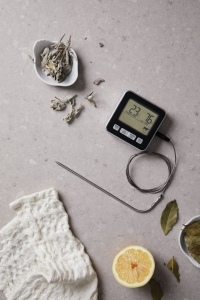 VINGA Thermomètre Hays 5