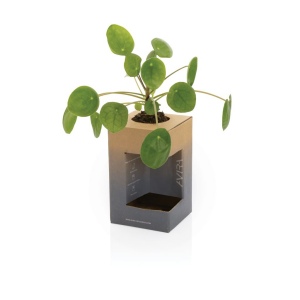Mug 300ml en acier recyclé RCS Avira Alya 101