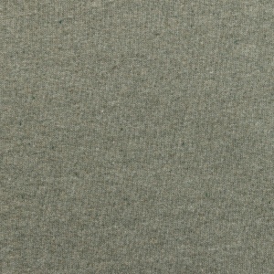 T-shirt en coton recyclé non teinté IQONIQ Manuel 57