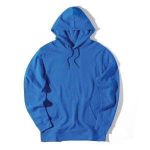 Sweat à capuche en coton recyclé IQONIQ Jasper 244