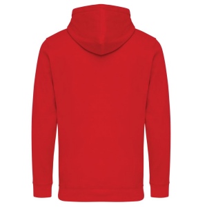 Sweat à capuche en coton recyclé IQONIQ Jasper 257