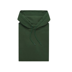 Sweat à capuche en coton recyclé IQONIQ Jasper 81