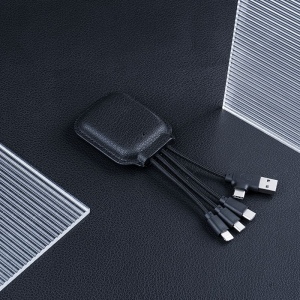 Ine Gamma - Câble de charge et power bank 3000 mAh 4