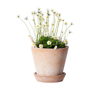 Crayon Sproutworld avec un message inspirant pour la nature 12
