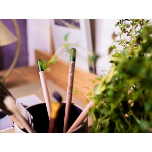 Crayon Sproutworld avec un message inspirant pour la nature 4
