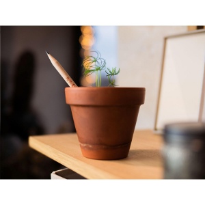 Crayon Sproutworld avec un message inspirant pour la nature 5