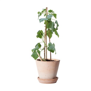 Crayon Sproutworld avec un message inspirant pour la nature 7