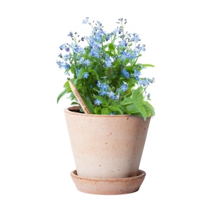 Crayon Sproutworld avec un message inspirant pour la nature 9