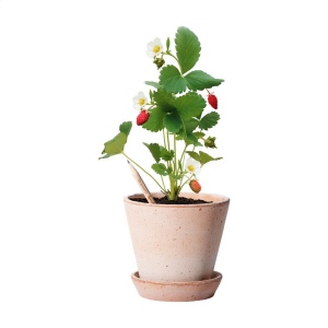 Crayon Sproutworld avec un message inspirant pour la nature 10