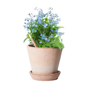 Crayon Sproutworld avec un message inspirant pour la nature 12