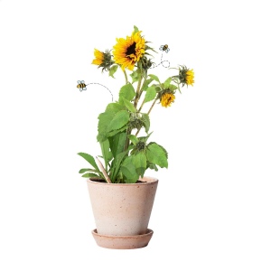Crayon Sproutworld avec un message inspirant pour la nature 4
