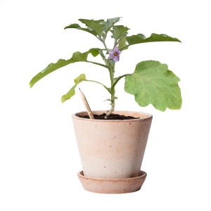 Crayon Sproutworld avec un message inspirant pour la nature 9