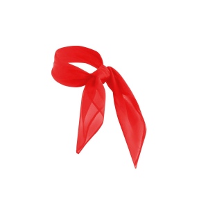 Foulard en mousseline de soie 2