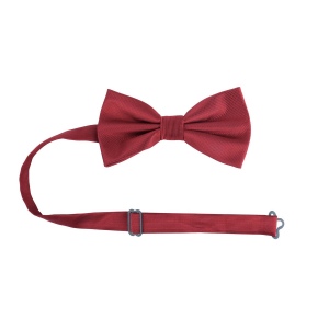 Noeud papillon classique uni 11