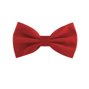 Noeud papillon classique uni 2