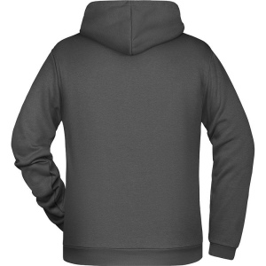 Sweat-shirt à capuche Grande taille Homme Daiber 31