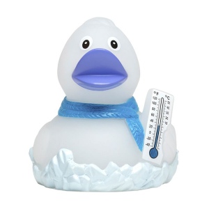 Canard MBW 3