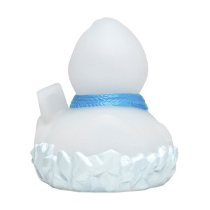 Canard MBW 4