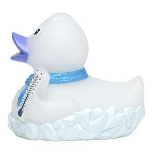 Canard MBW 5