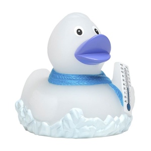 Canard MBW 6