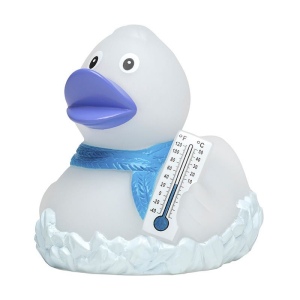 Canard MBW 2