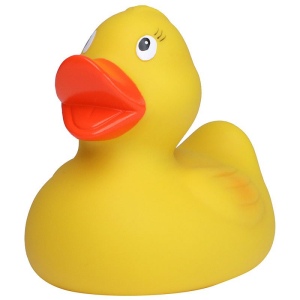 Canard uni MBW 2