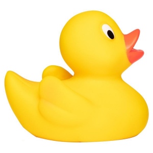 Canard uni MBW 5