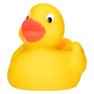 Canard uni MBW 2