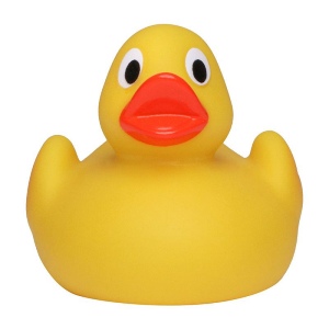 Canard uni MBW 3