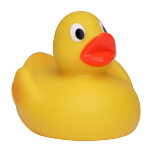 Canard uni MBW 5