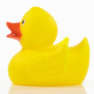 Canard uni MBW 5