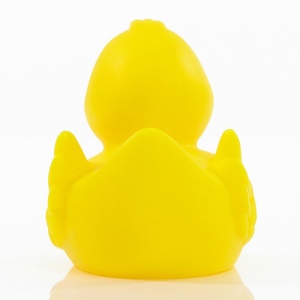 Canard uni MBW 5