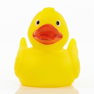 Canard uni MBW 2