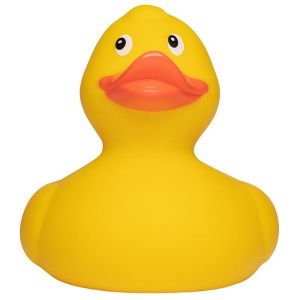 Canard de course MBW 3