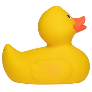 Canard de course MBW 4