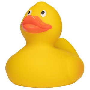 Canard de course MBW 2