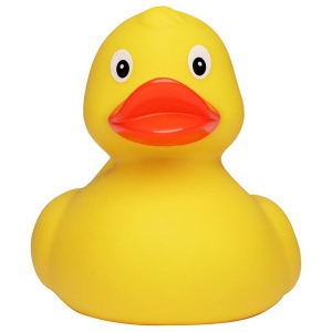 Canard de course MBW 3