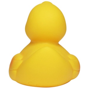 Canard de course MBW 4