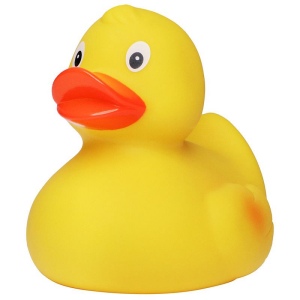 Canard de course MBW