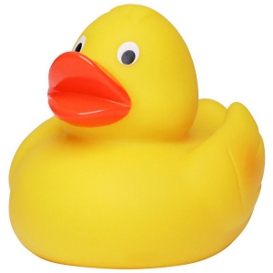 Canard de course MBW 3