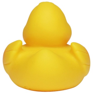 Canard de course MBW 4