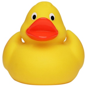 Canard de course MBW